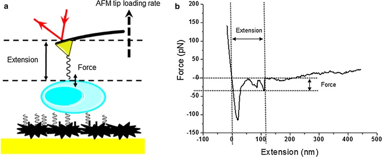 Fig. 3