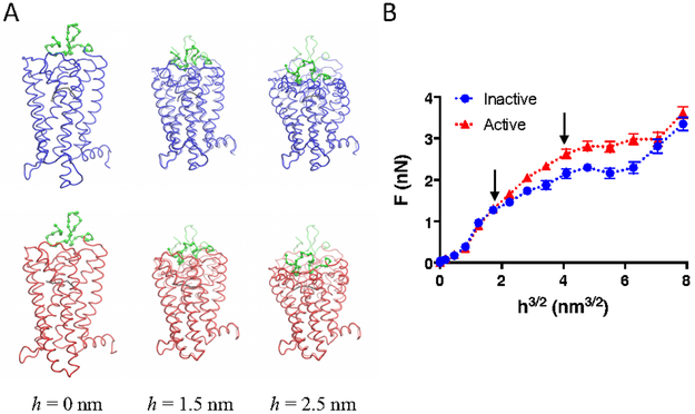 Figure 4.