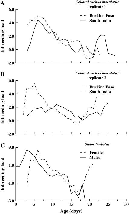 Figure 5.—