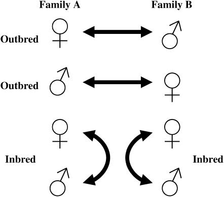 Figure 1.—