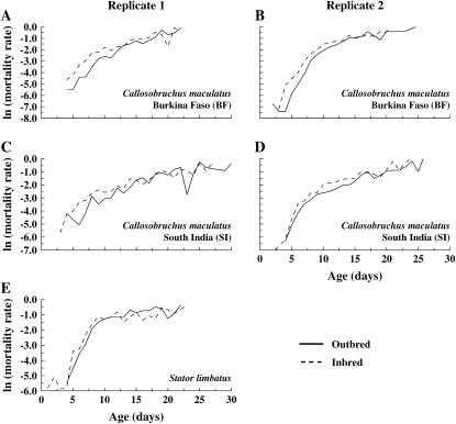 Figure 4.—