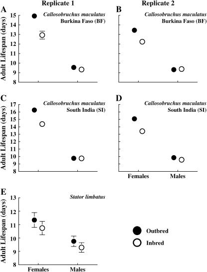 Figure 2.—