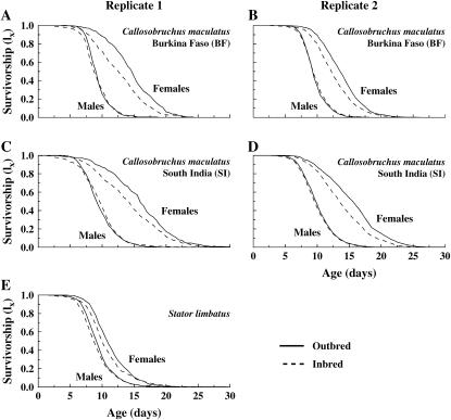 Figure 3.—