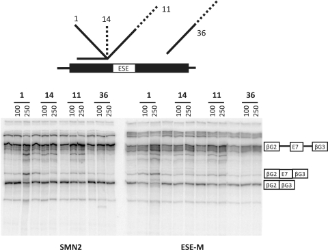 Figure 7.