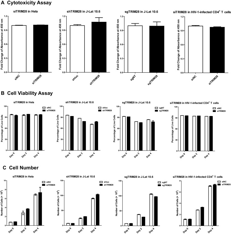 Figure 10—figure supplement 1.