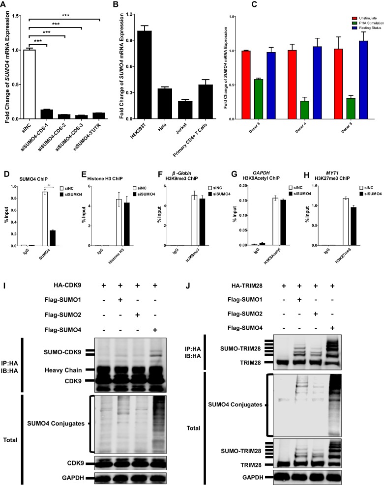 Figure 4—figure supplement 1.