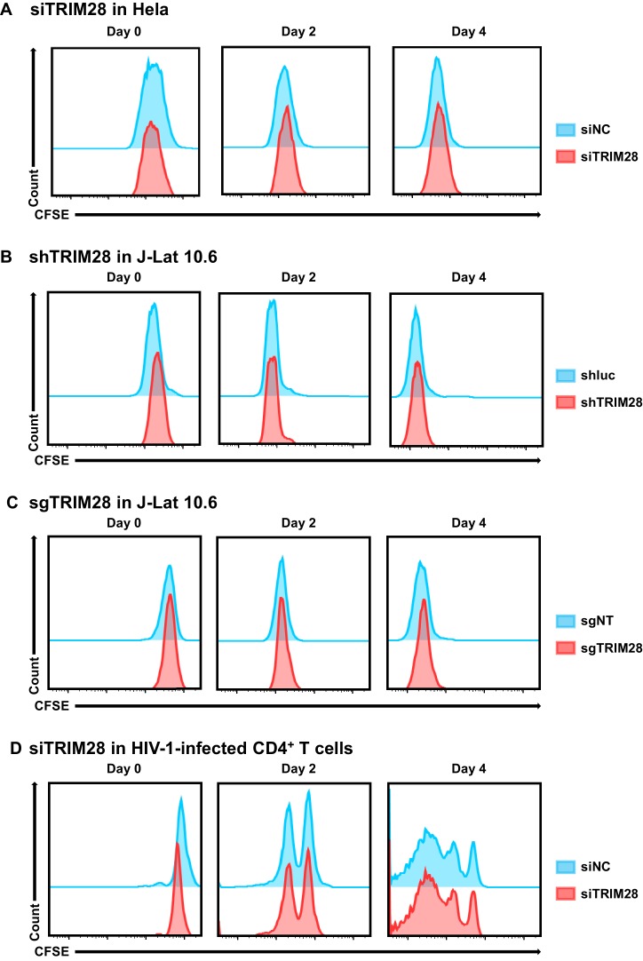 Figure 10—figure supplement 2.