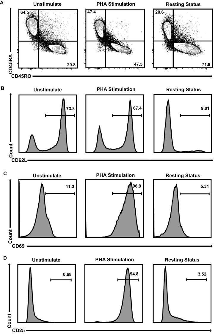 Figure 1—figure supplement 2.