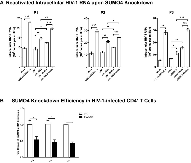 Figure 10—figure supplement 4.