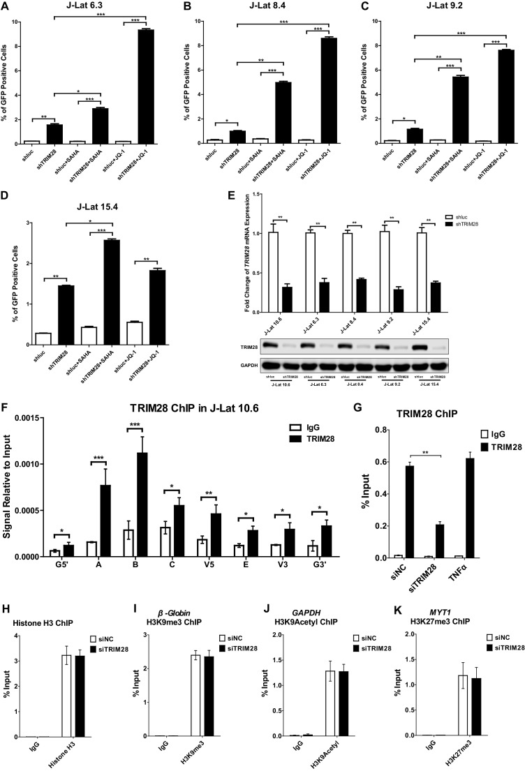 Figure 1—figure supplement 3.