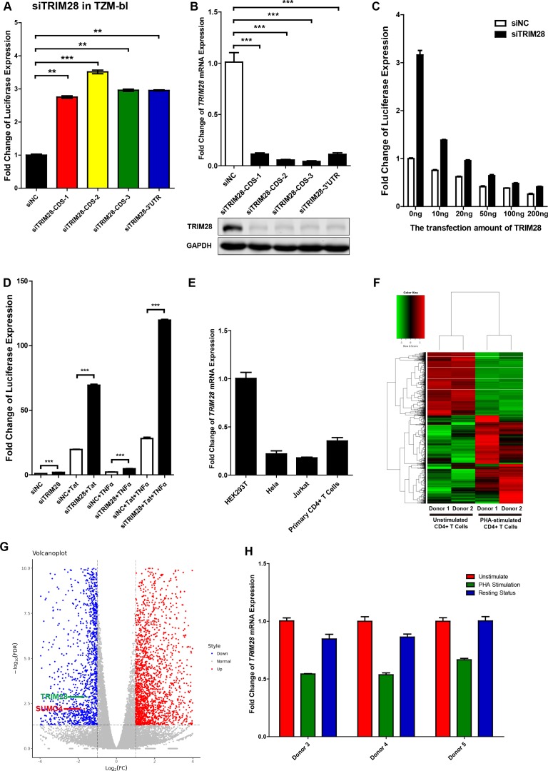 Figure 1—figure supplement 1.