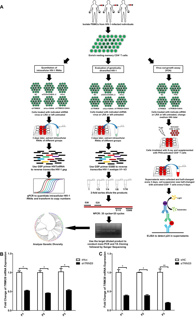 Figure 10—figure supplement 3.