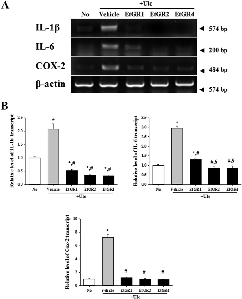 Fig. 5