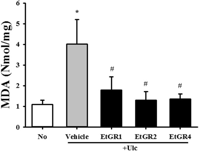 Fig. 6