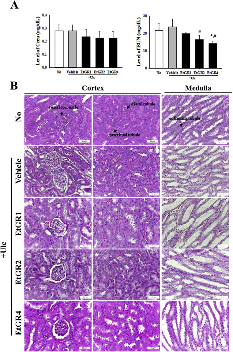 Fig. 8