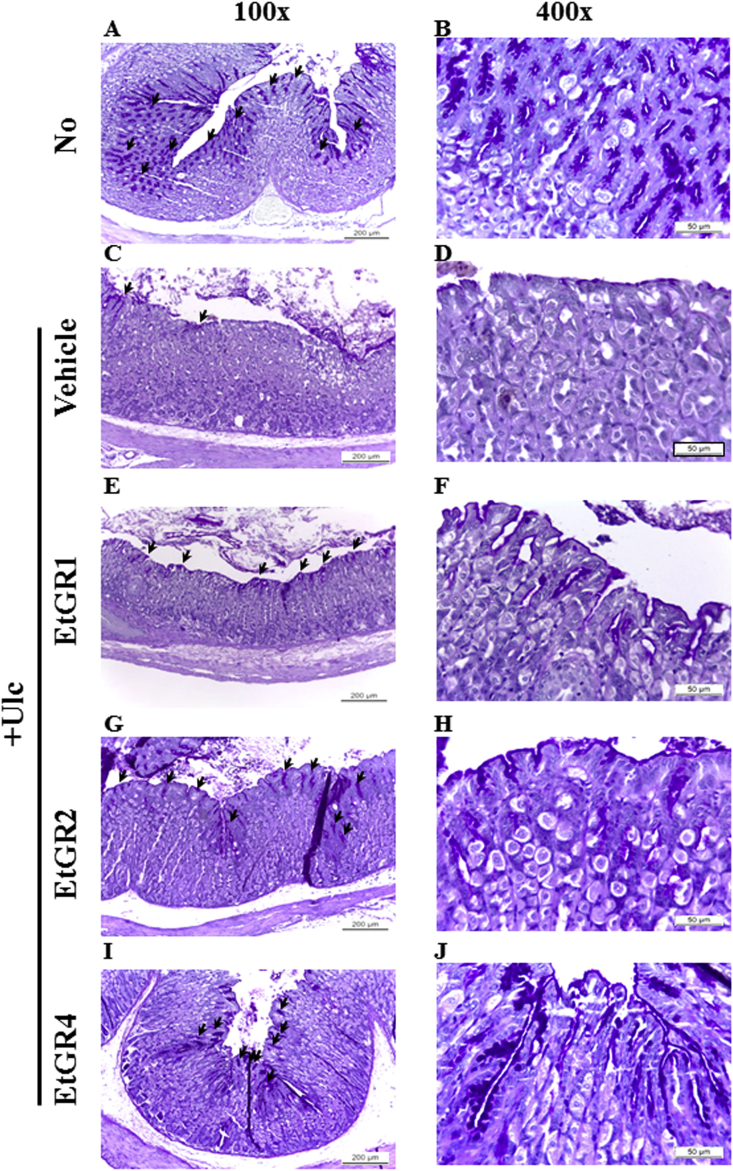 Fig. 4