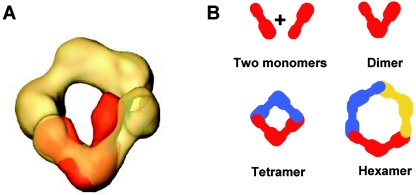 FIG. 4.