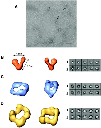 FIG. 3.