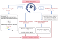 Flowchart illustrating the effects of sleep deprivation. Central image of a head with a clock symbolizes sleep deprivation. It leads to impaired neurocognitive function, cerebrovascular-metabolic dysfunction, and stress and neuroendocrine dysregulation. Consequences include decreased PFC, reduced cerebral reactivity, and disturbed neurohormonal secretion. Related factors such as weight and gene are highlighted. Overall, it results in impaired cognitive flexibility.