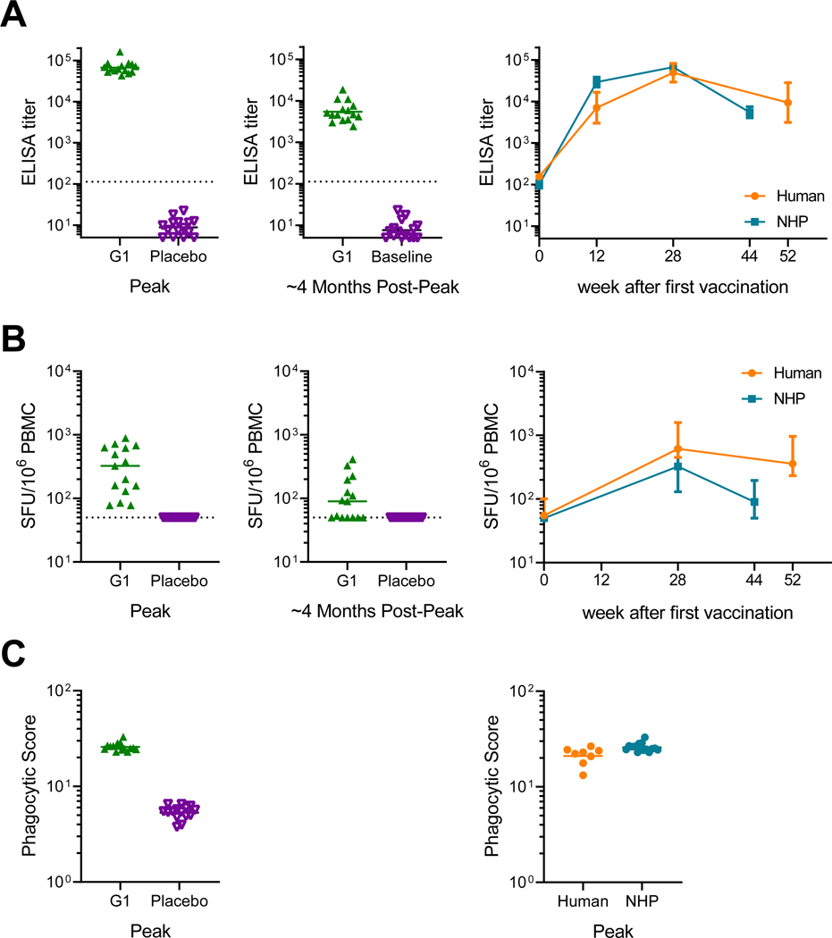 Figure 4: