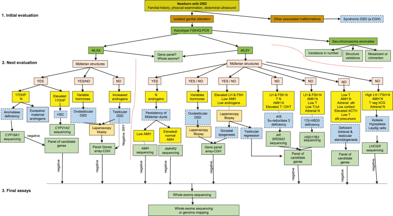 Figure 1: