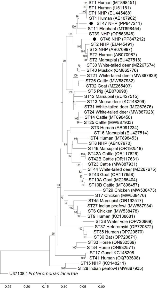 Fig. 2