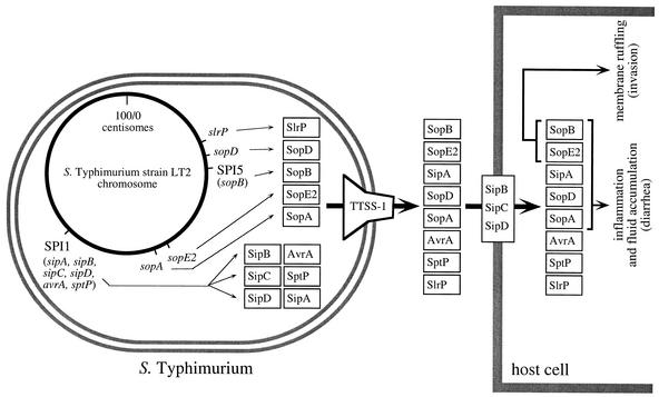 FIG. 3.