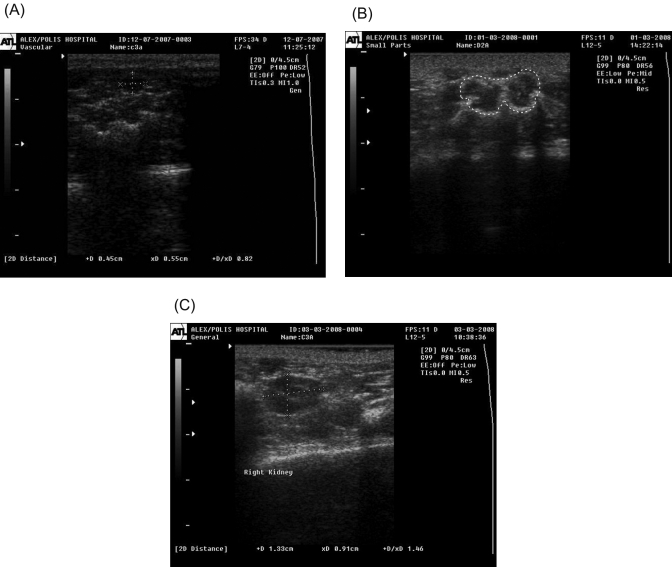 Figure 4.