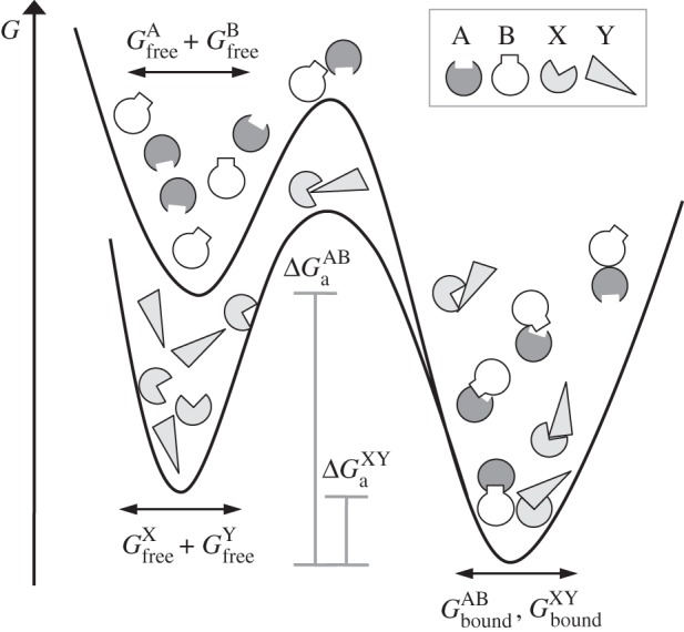 Figure 9.