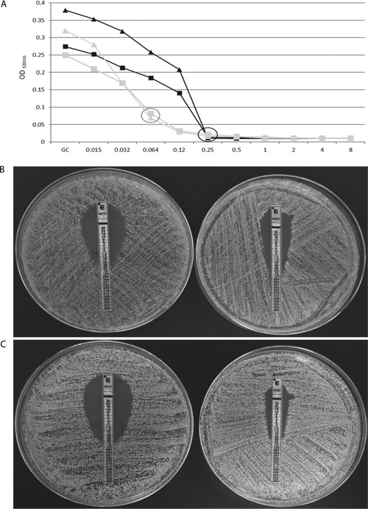 FIG 1