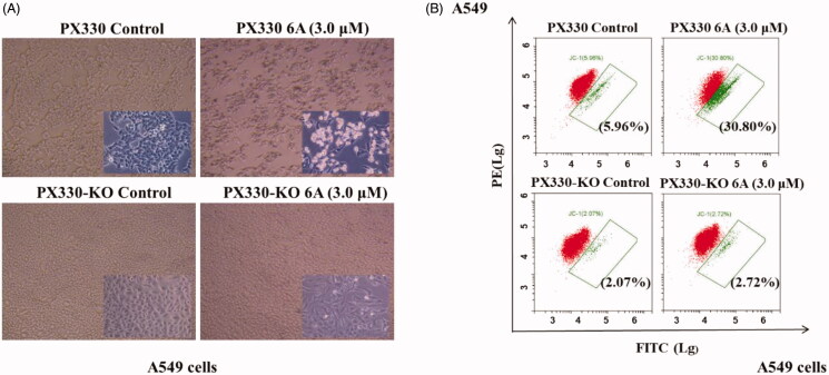 Figure 6.