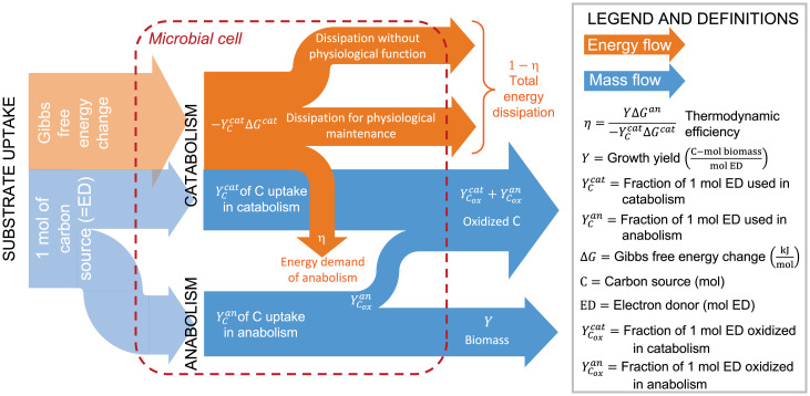 Fig. 1.