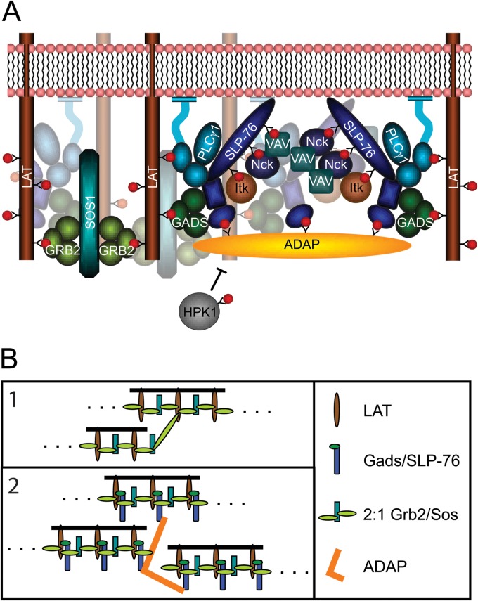 Fig 7