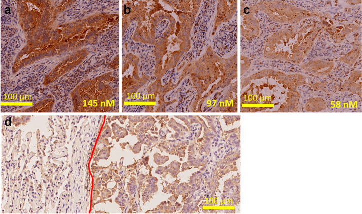 Fig. 7