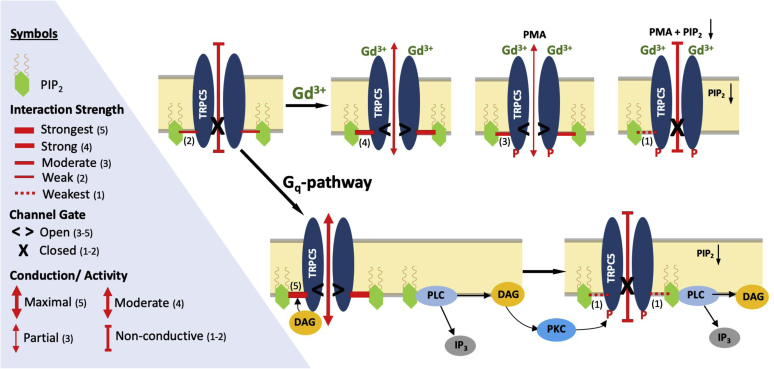 Figure 6