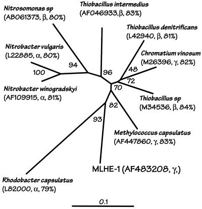 FIG. 7.