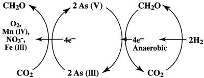 FIG. 8.