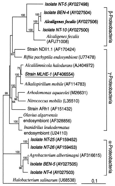 FIG. 6.