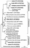 FIG. 6.