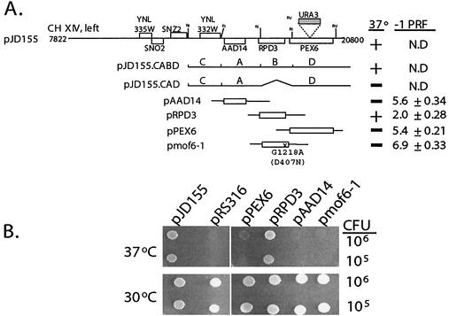 FIG. 1.