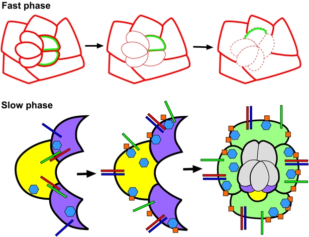 Fig. 8.