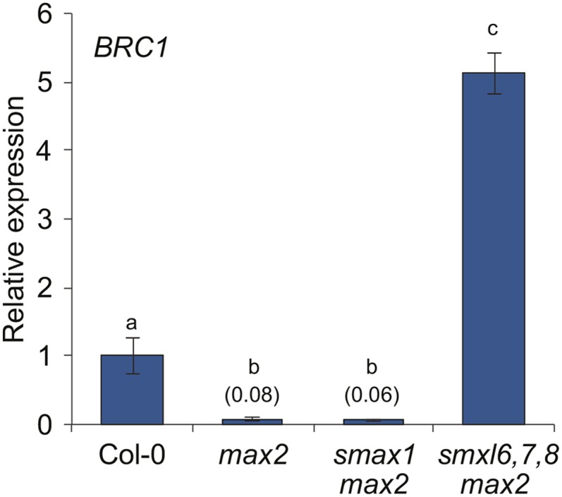 Figure 4.