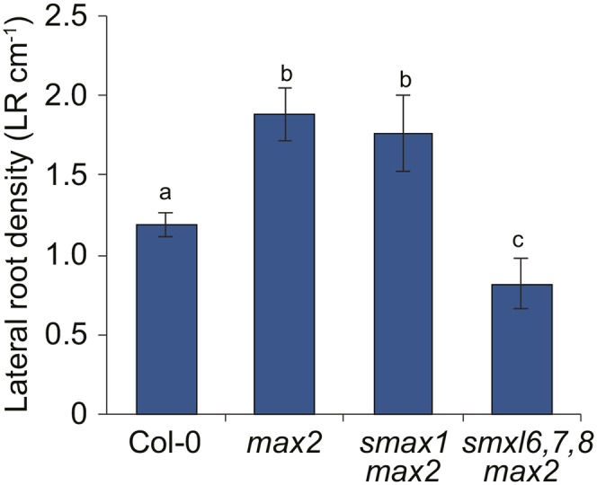 Figure 5.