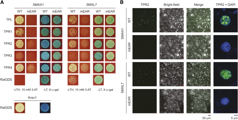 Figure 10.