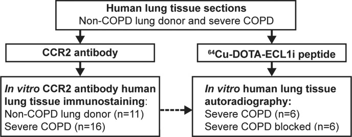 Figure 1c: