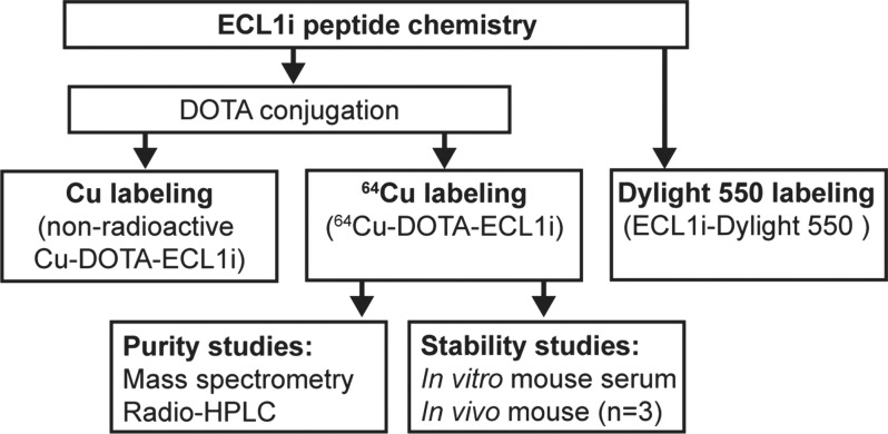 Figure 1a: