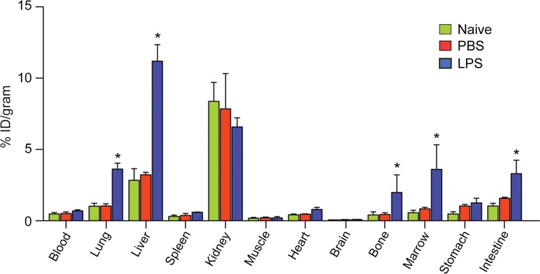 Figure 2b: