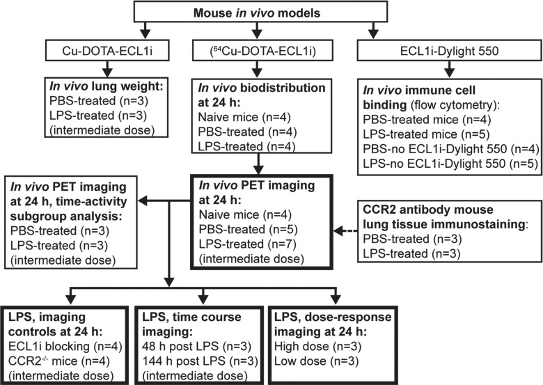 Figure 1b: