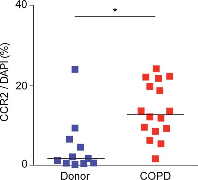 Figure 6b: