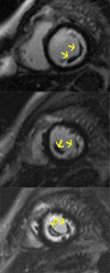 Figure 5